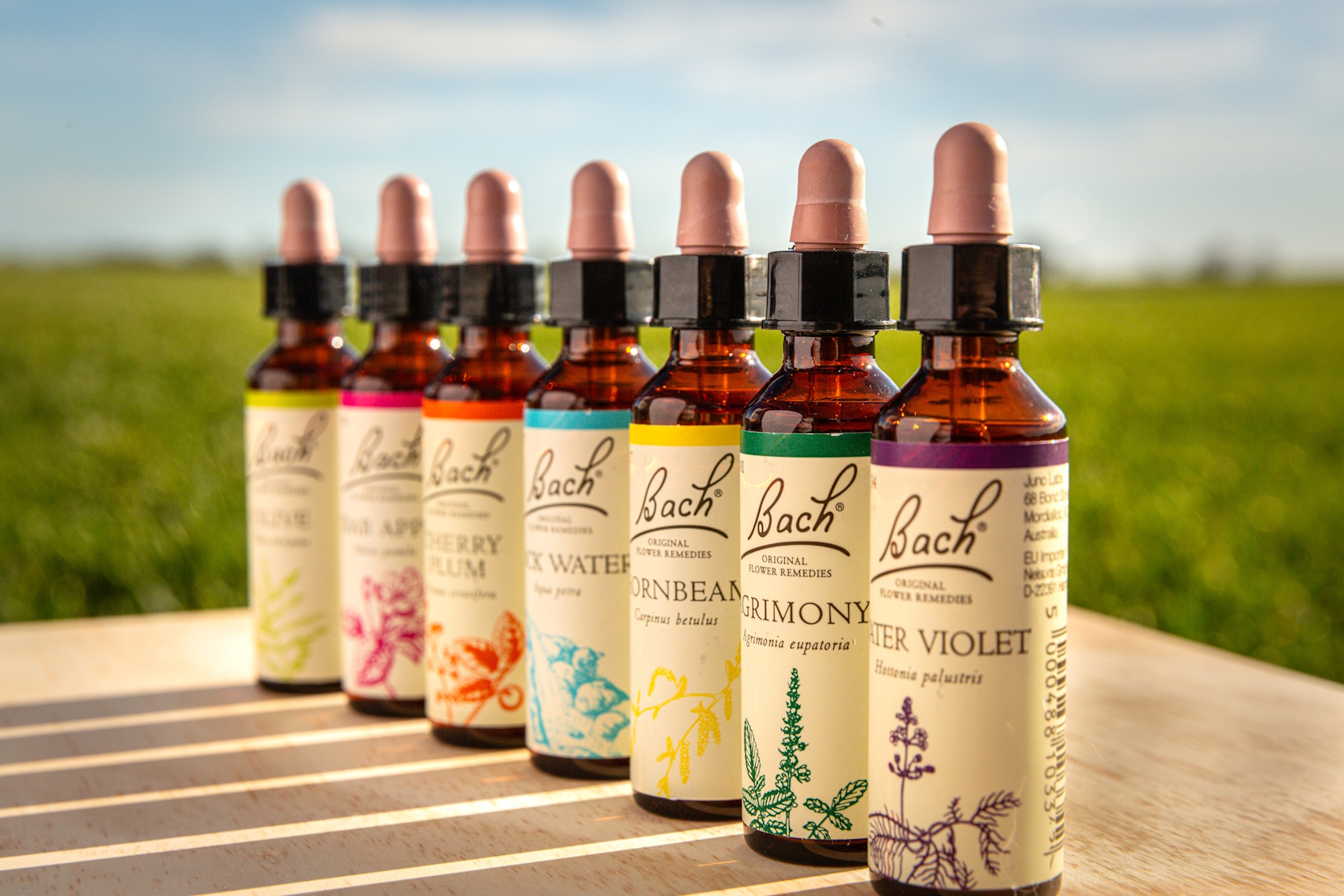 Homeopathic Treatment